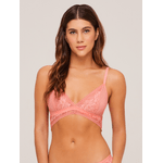 503432-SUTIA-TRIANGULO-FUSION-solar-2