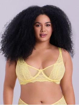 Design-sem-nome--100-