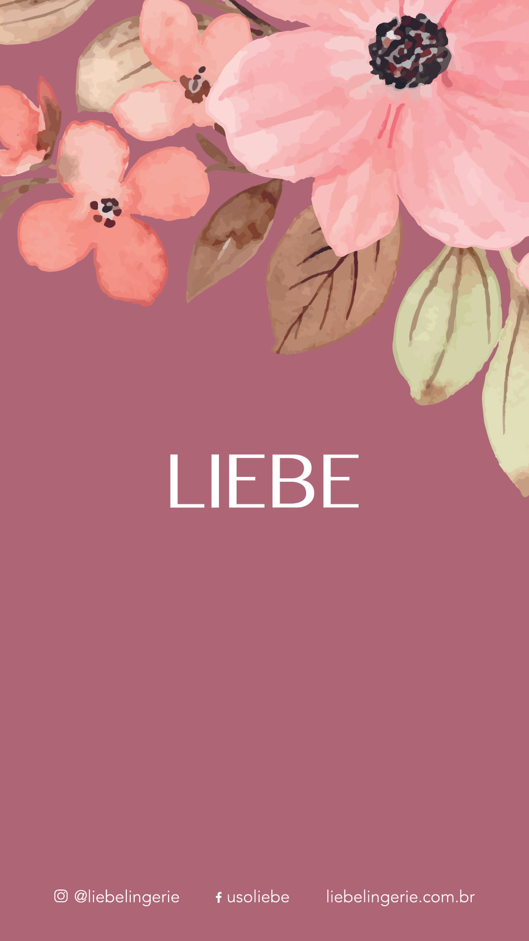 Chá de Lingerie Liebe